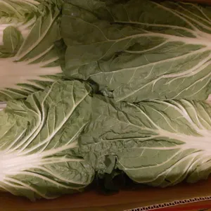 白菜の極意 — 冬の鍋を支配する「旨味の重層」を読み解く