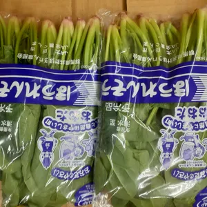 ほうれん草の真髄 — 冬の凍土で蓄える極限の甘みと栄養