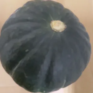 大地と太陽が凝縮された、あの橙色の塊。 — 八百屋40年が語る、かぼちゃの選び方・保存術・食べ方