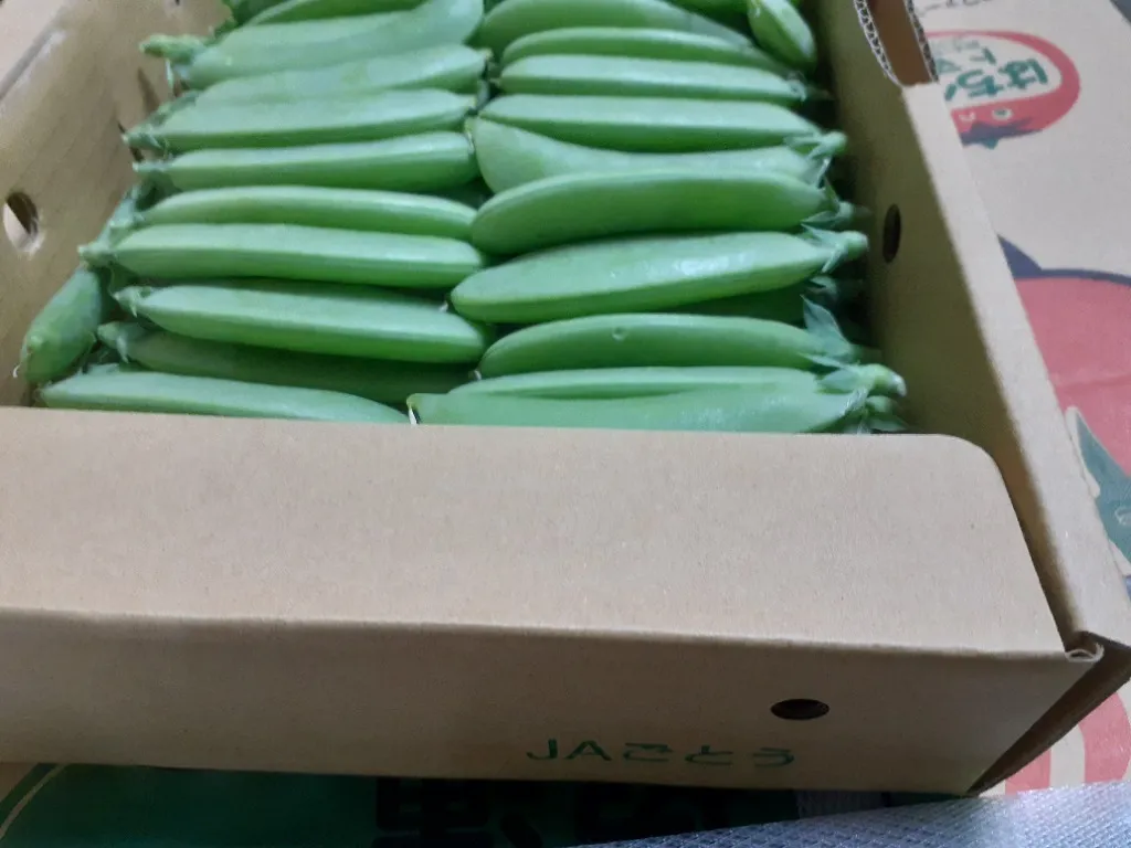 JAごとうのスナップえんどう